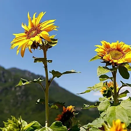 فندق Arve - E CASTELBIANCO